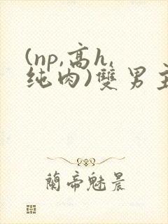 (np,高h,纯肉)双男主
