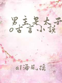 男主是太子的po古言小说