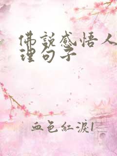 佛说感悟人生哲理句子