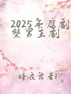 2025年腐剧双男主剧