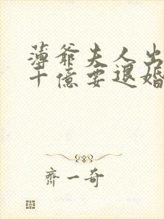 薄爷夫人出价一千亿要退婚txt下载