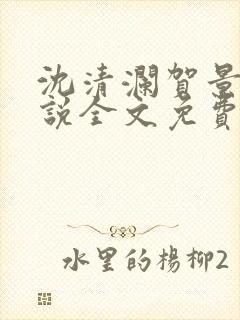 沈清澜贺景承小说全文免费阅读