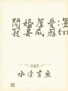 闪婚厚爱:墨少宠妻成瘾txt下载