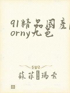 91精品国产porny九色
