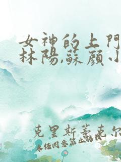 女神的上门女婿林阳,苏颜小说在线阅读