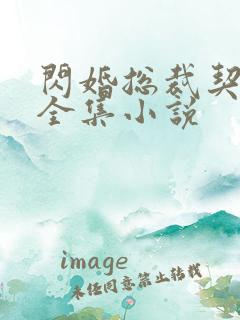 闪婚总裁契约妻全集小说