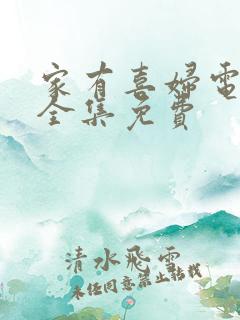 家有喜妇电视剧全集免费
