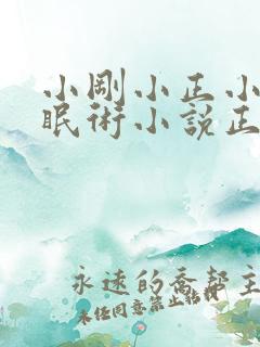 小刚小正小柔催眠术小说正版阅读