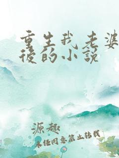 重生我老婆是天后的小说
