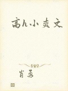 高h小爽文