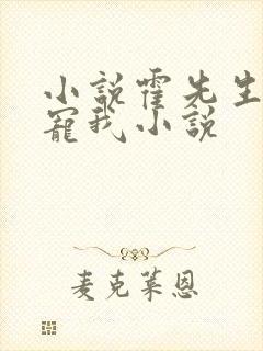小说霍先生乖乖宠我小说