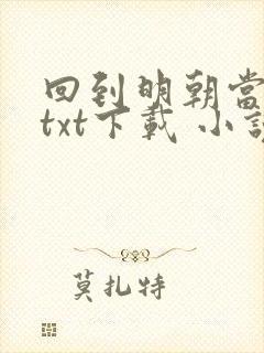 回到明朝当暴君txt下载 小说