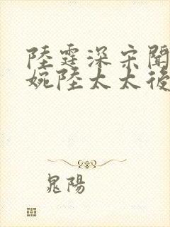 陆霆深宋闻璟林婉陆太太后续大结局