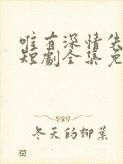 唯有深情失所有短剧全集免费观看