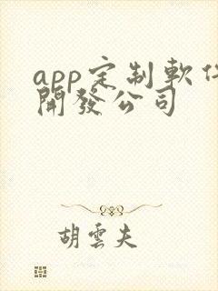 app定制软件开发公司
