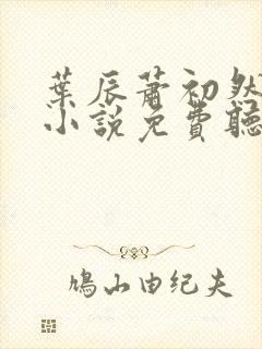 叶辰萧初然有声小说免费听