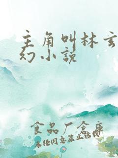 主角叫林玄的玄幻小说
