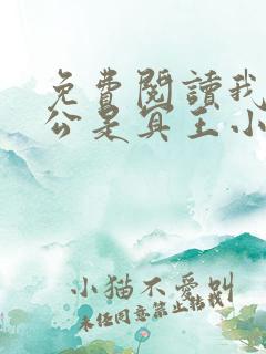 免费阅读我的老公是冥王小说