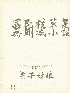 国民校草是女生无删减小说