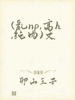 (乱np,高h,纯肉)文