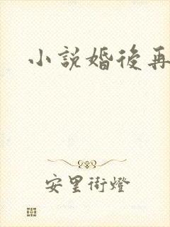 小说婚后再爱