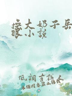 操大奶子岳母屁眼小说