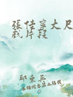 张佳宁大尺度床戏片段