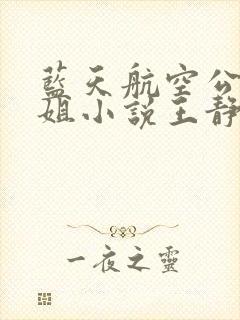 蓝天航空公司空姐小说王静