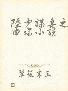 陆少谋妻之婚不由你小说