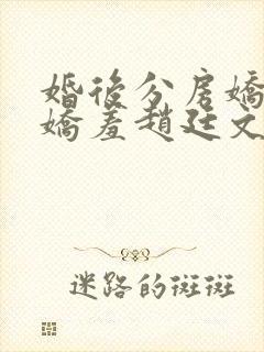 婚后分房娇夫别娇羞赵廷文