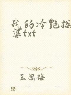 我的冷艳总裁老婆txt