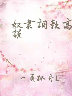 奴隶调教高h小说
