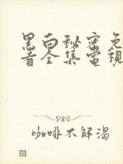 黑白秘密免费观看全集电视剧结局