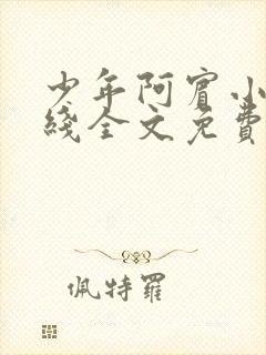 少年阿宾小说在线全文免费阅读