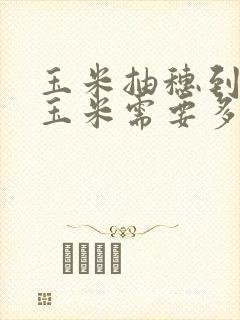 玉米抽穗到吃嫩玉米需要多久