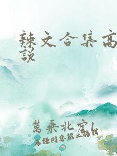 辣文合集高h小说