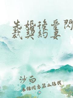 先婚后爱闪婚总裁契约妻