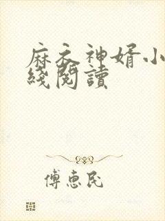 麻衣神婿小说在线阅读
