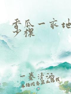 香瓜一亩地种多少棵