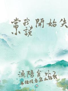 当我开始失去你小说