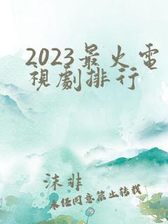 2023最火电视剧排行