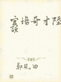 官场奇才陆羽小说