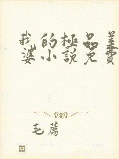 我的极品美女老婆小说免费阅读全文