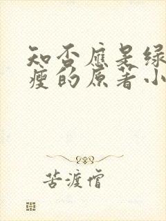 知否应是绿肥红瘦的原著小说作者