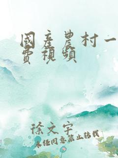 国产农村一级免费视频