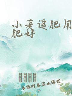 小麦追肥用什么肥好