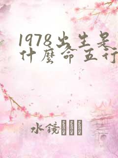 1978出生是什么命五行属什么