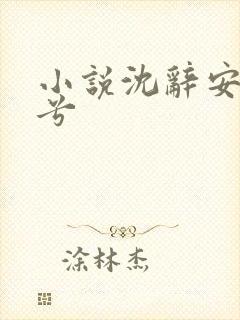 小说沈辞安乔若兮