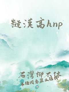 糙汉高hnp