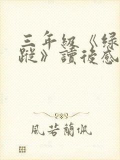 三年级《绿野仙踪》读后感500字范文